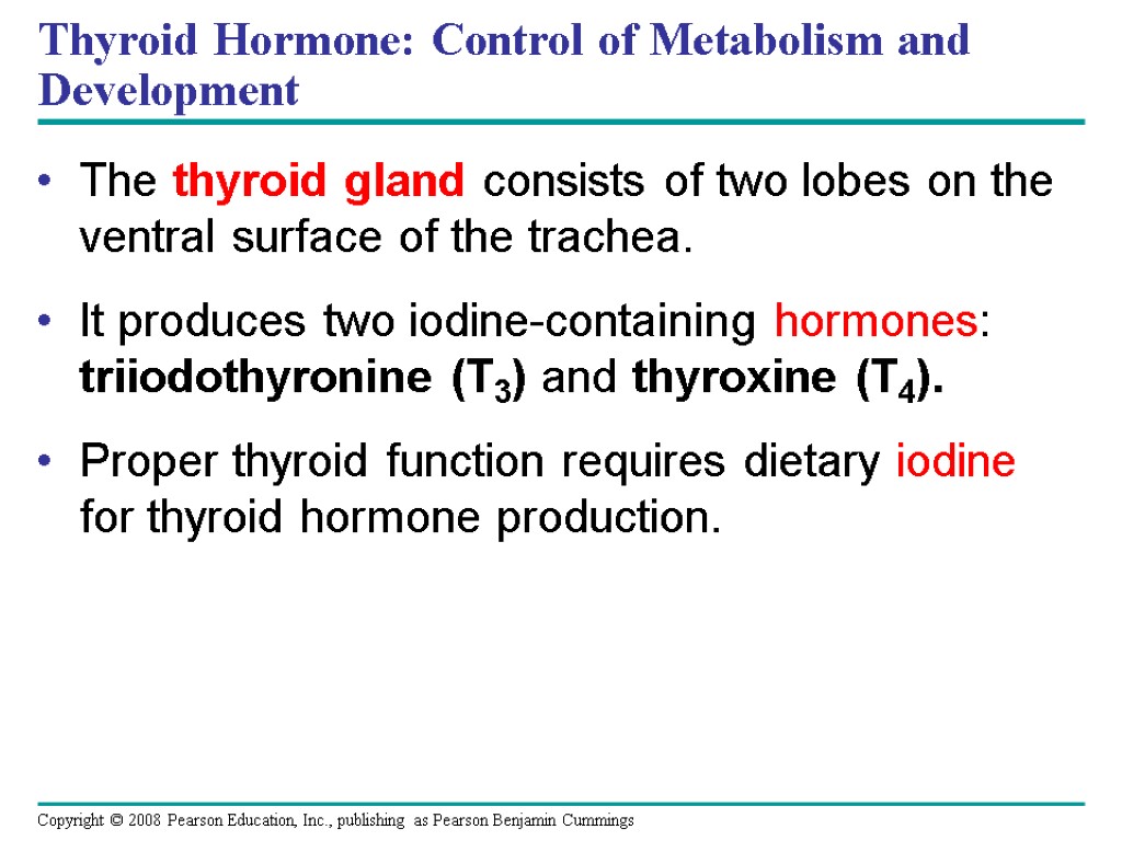 Thyroid Hormone: Control of Metabolism and Development The thyroid gland consists of two lobes